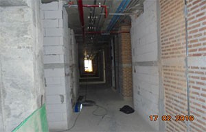 bright-project-february-28-201612