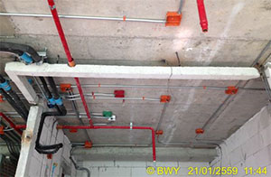 bright-project-january-31-201622